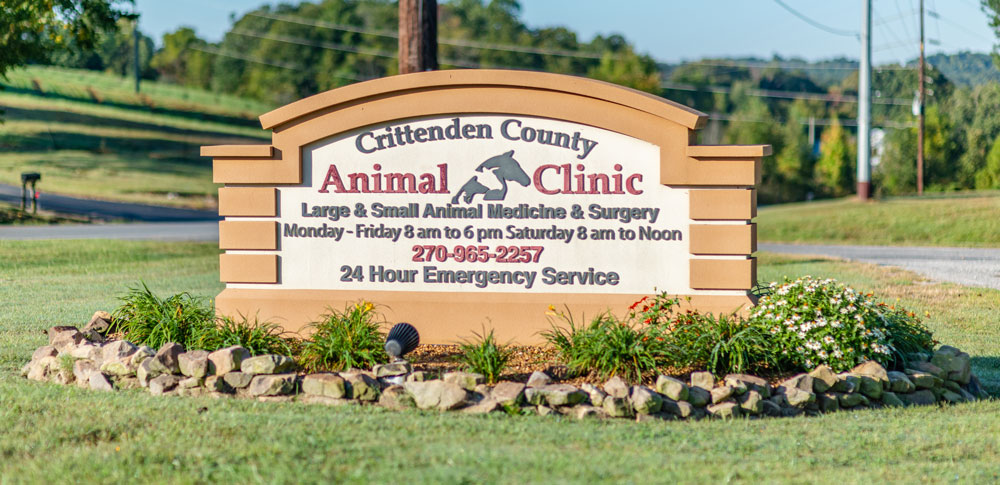 crittenden county animal clinic sign